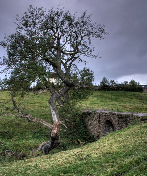 Picture of bridge